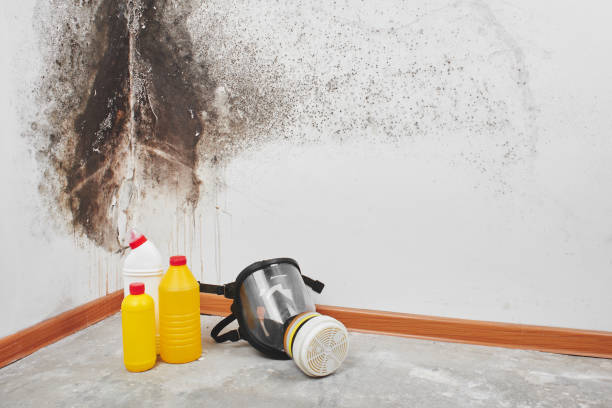 Best Residential Mold Removal  in North Warren, PA