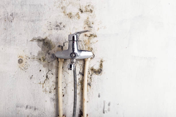 Mold Removal Process in North Warren, PA