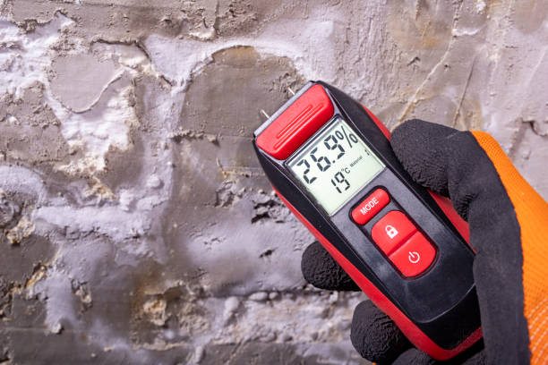 Best Certified Mold Removal  in North Warren, PA